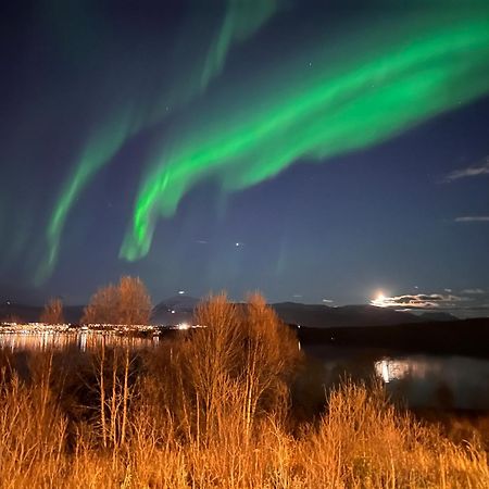 הוילה טרומסה Aurora North מראה חיצוני תמונה